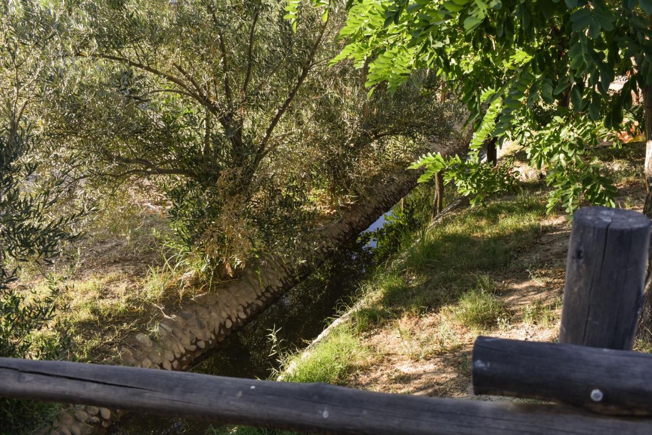 Cabanas De La Bodega Romano-Pin Albardón Εξωτερικό φωτογραφία