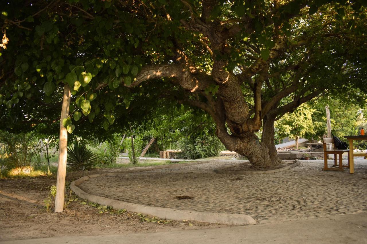 Cabanas De La Bodega Romano-Pin Albardón Εξωτερικό φωτογραφία